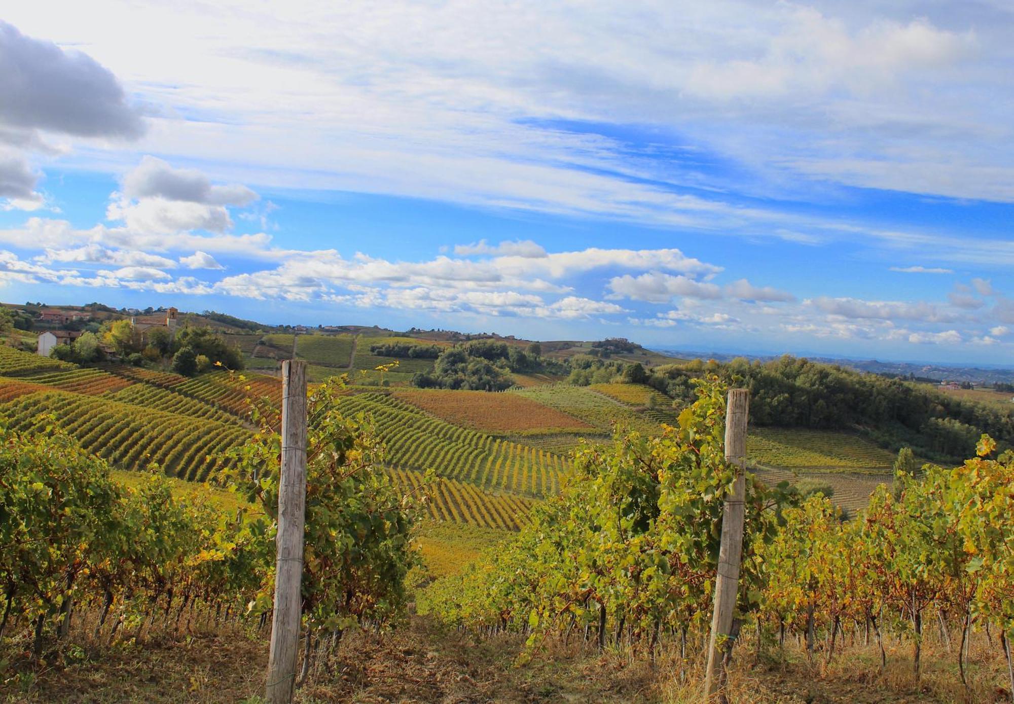 Vila Amazing Langhe And Monferrato | House With Garden Calamandrana Exteriér fotografie